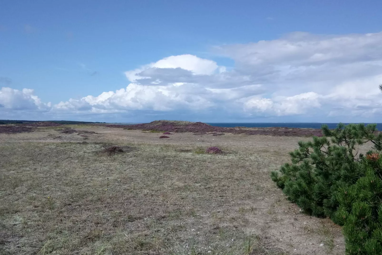 4 persoons vakantie huis in Læsø-By Traum-Niet-getagd