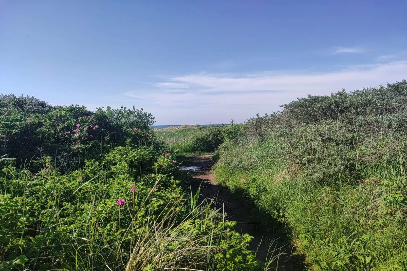 6 persoons vakantie huis in Ålbæk-By Traum-Buitenlucht