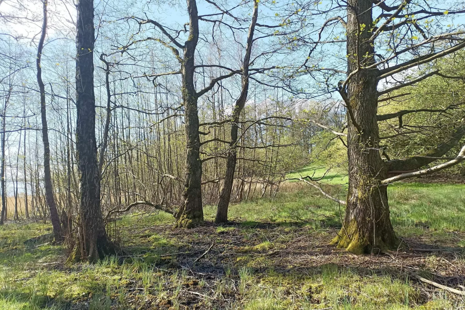 4 persoons vakantie huis in Snedsted-By Traum-Niet-getagd