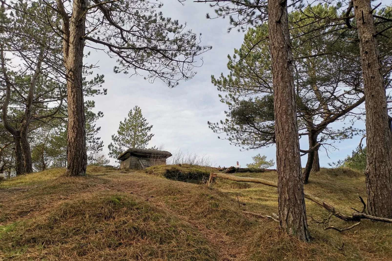 4 persoons vakantie huis in Oksbøl-By Traum