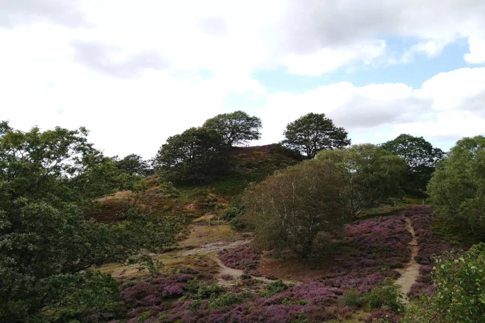 8 persoons vakantie huis in Gjern-By Traum-Niet-getagd