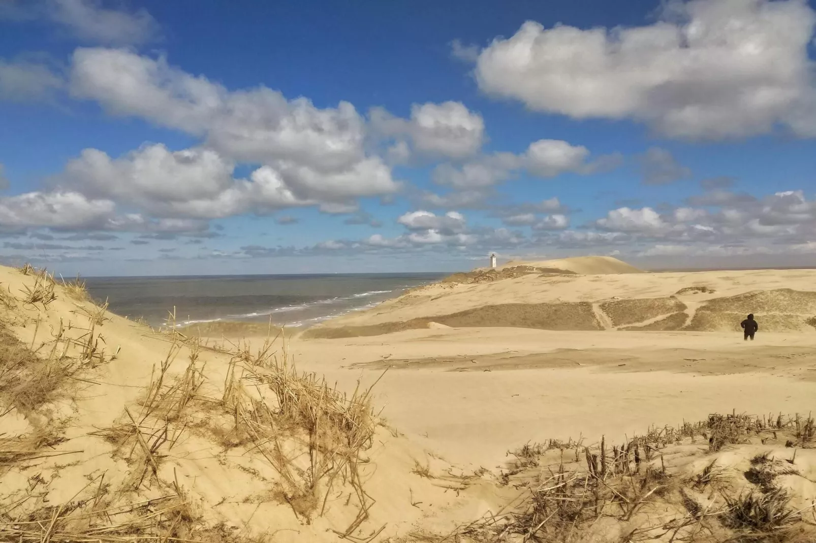 8 persoons vakantie huis in Løkken-By Traum