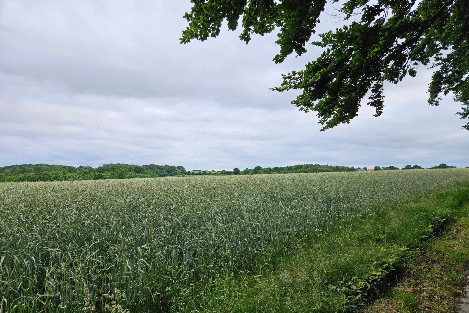 6 persoons vakantie huis in Hejls-By Traum-Niet-getagd