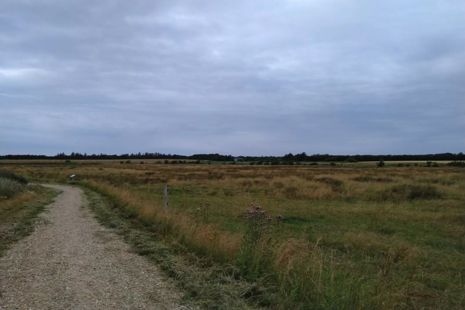 5 persoons vakantie huis in Esbjerg V-By Traum