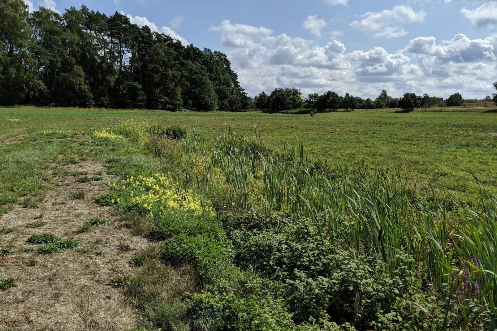 Ferienhaus Typ A 120 qm-Gebieden zomer 1km