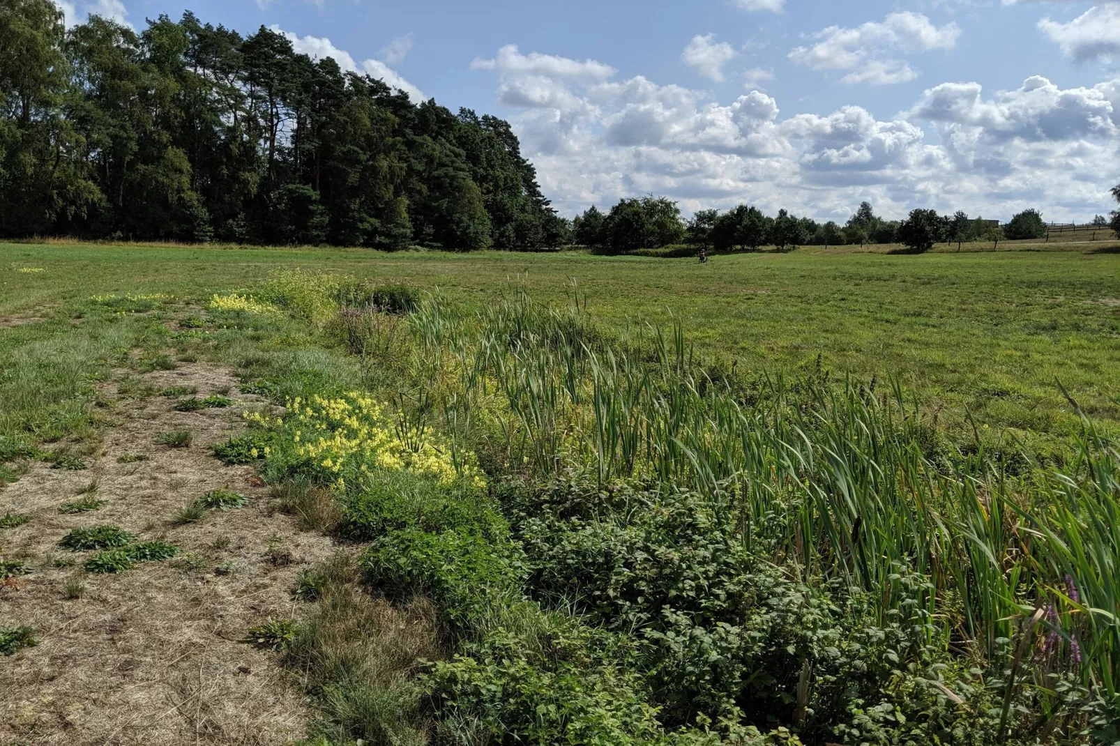 Doppelhaushälfte Typ V 80 qm-Gebieden zomer 1km