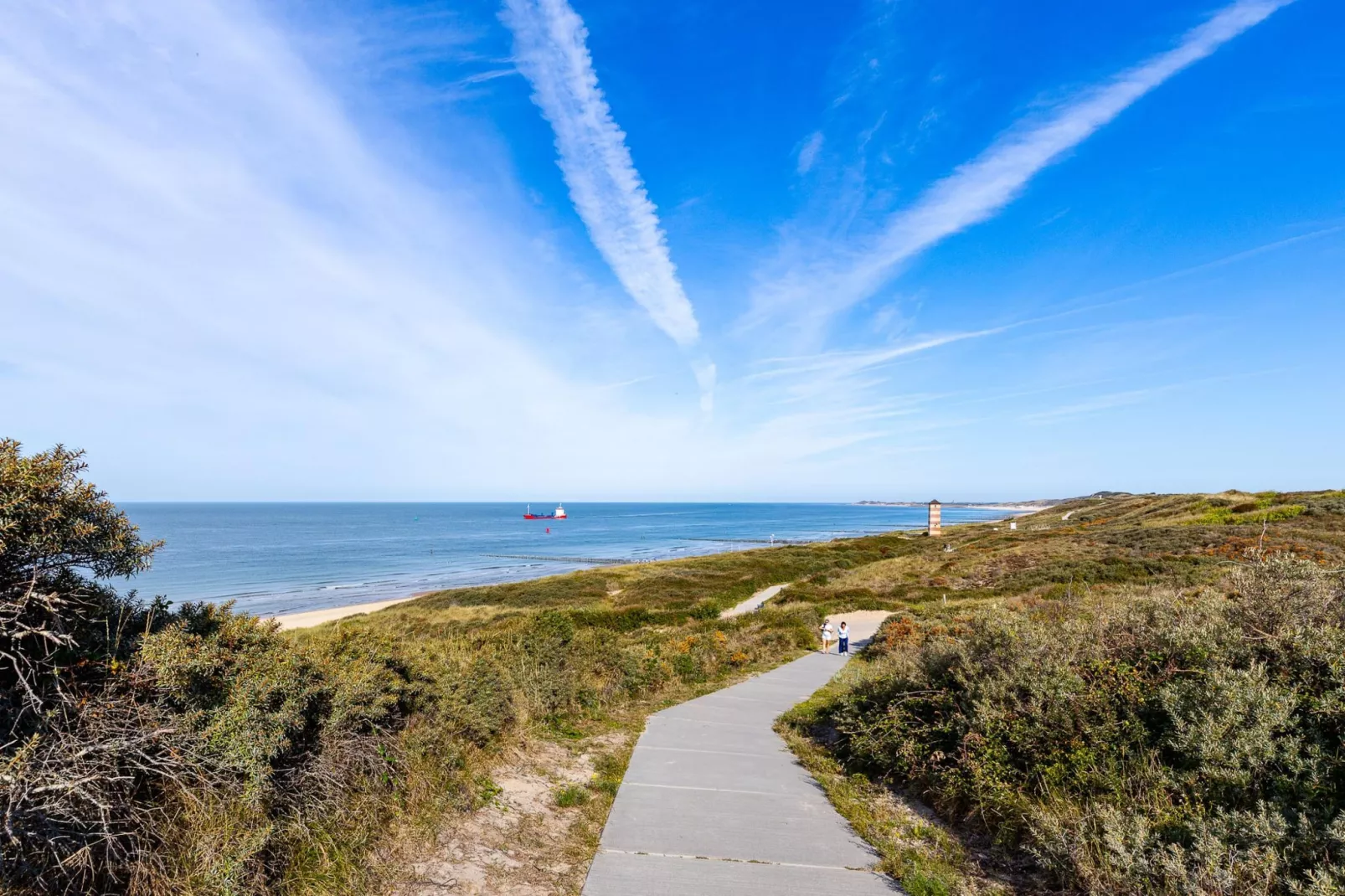 Appartement Duinhof Dishoek 13E - 6 personen sauna-Gebieden zomer 1km