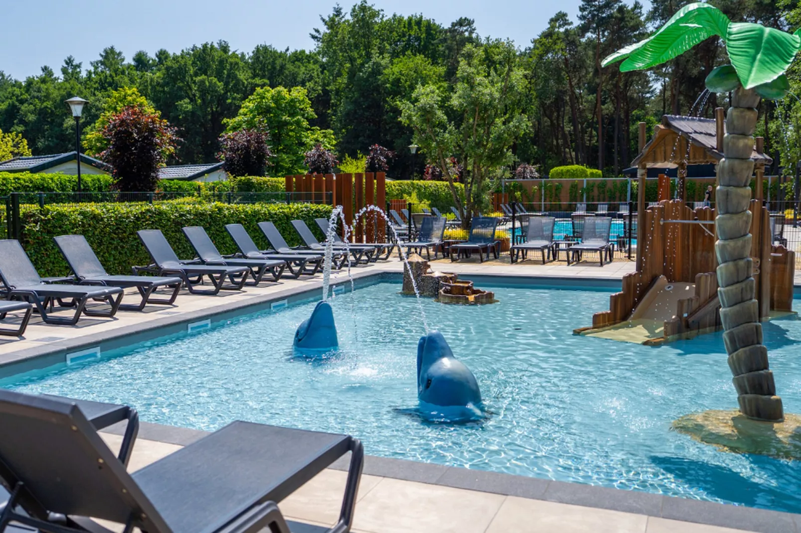 Vakantiepark Molenvelden 1-Zwembad