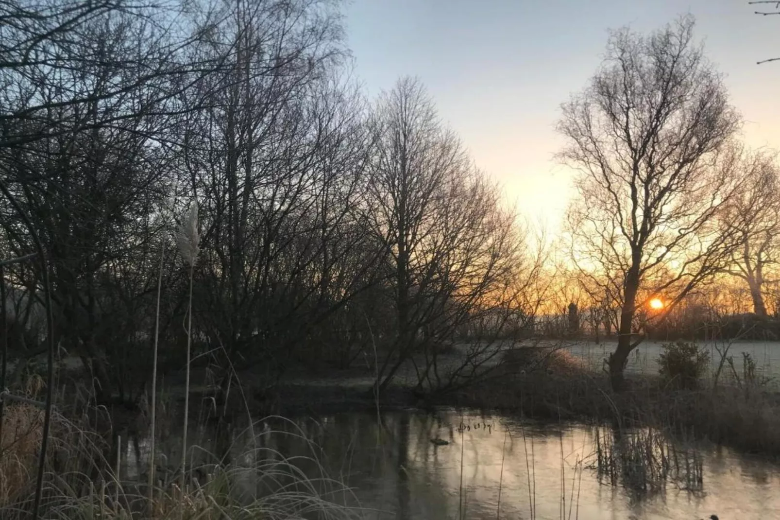 Bospark Markelo 4-Gebieden zomer 20km