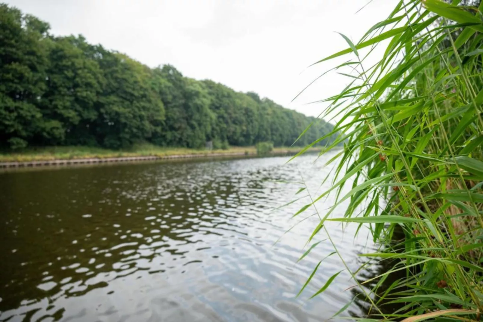Vakantiepark De Lochemse Berg 1-Gebieden zomer 20km