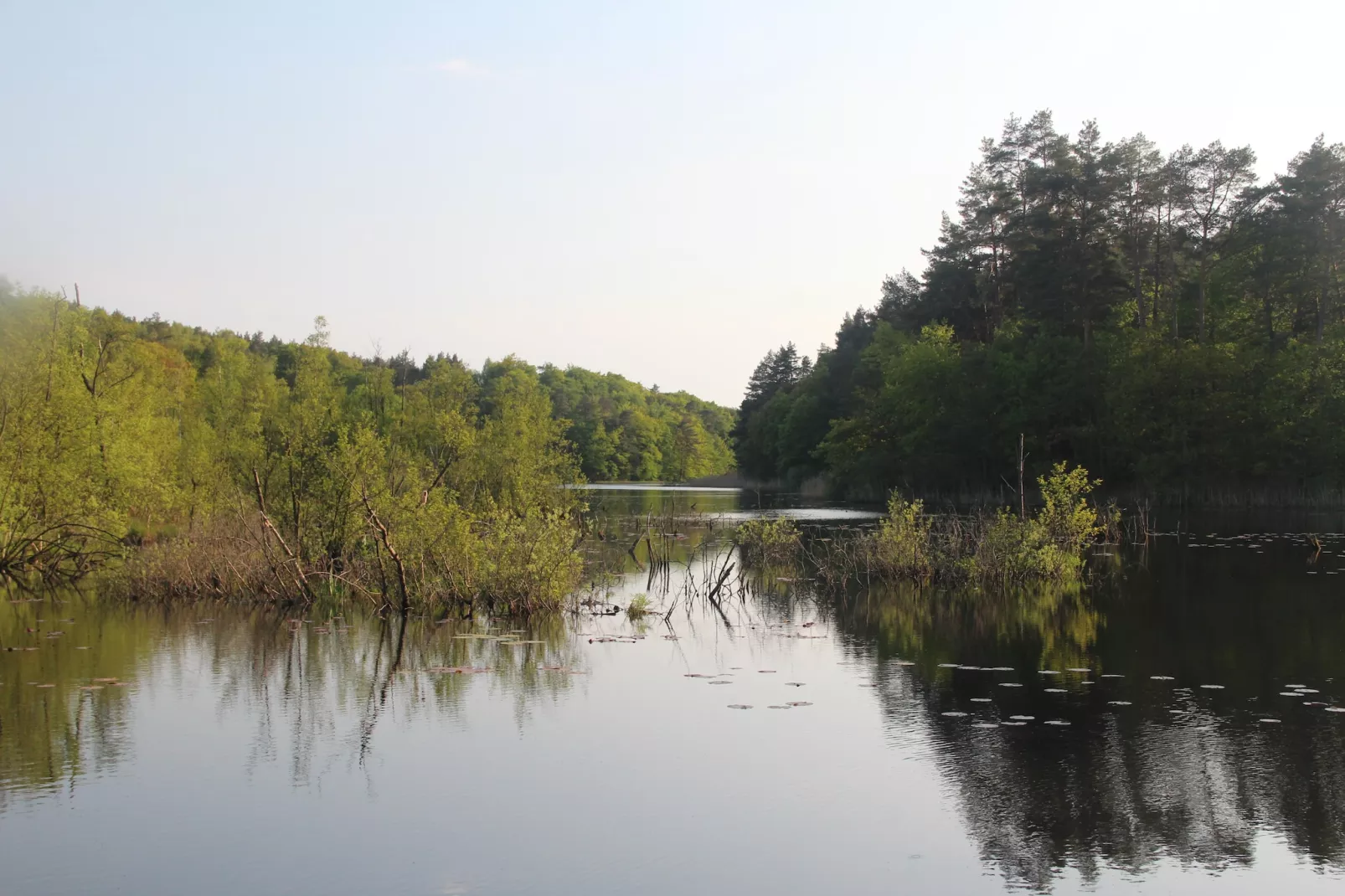 Holiday complex Kolczewo-Gebieden zomer 1km