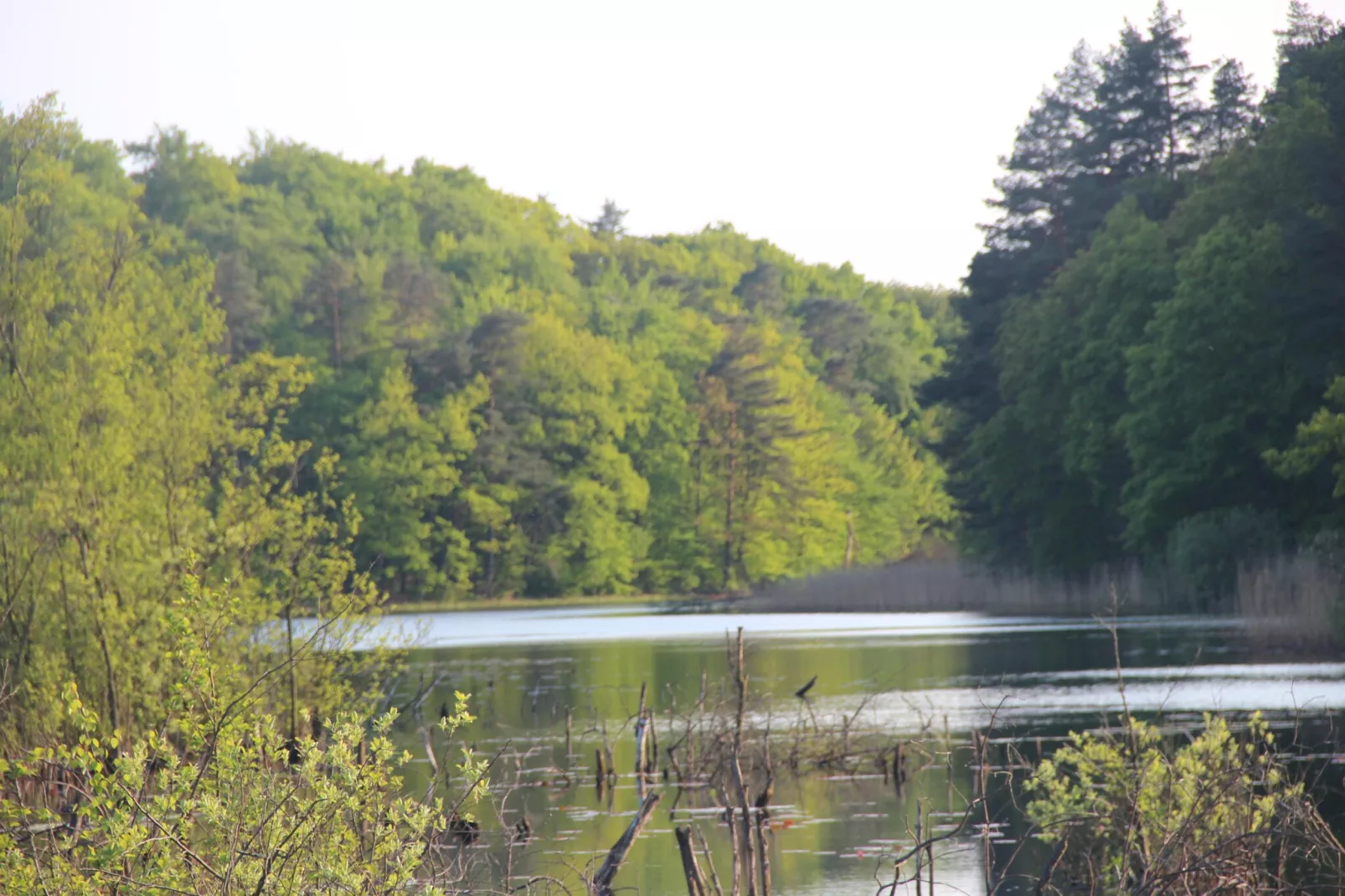 Holiday flat in Kolczewo70 qm for 6 persons-Image-tags.