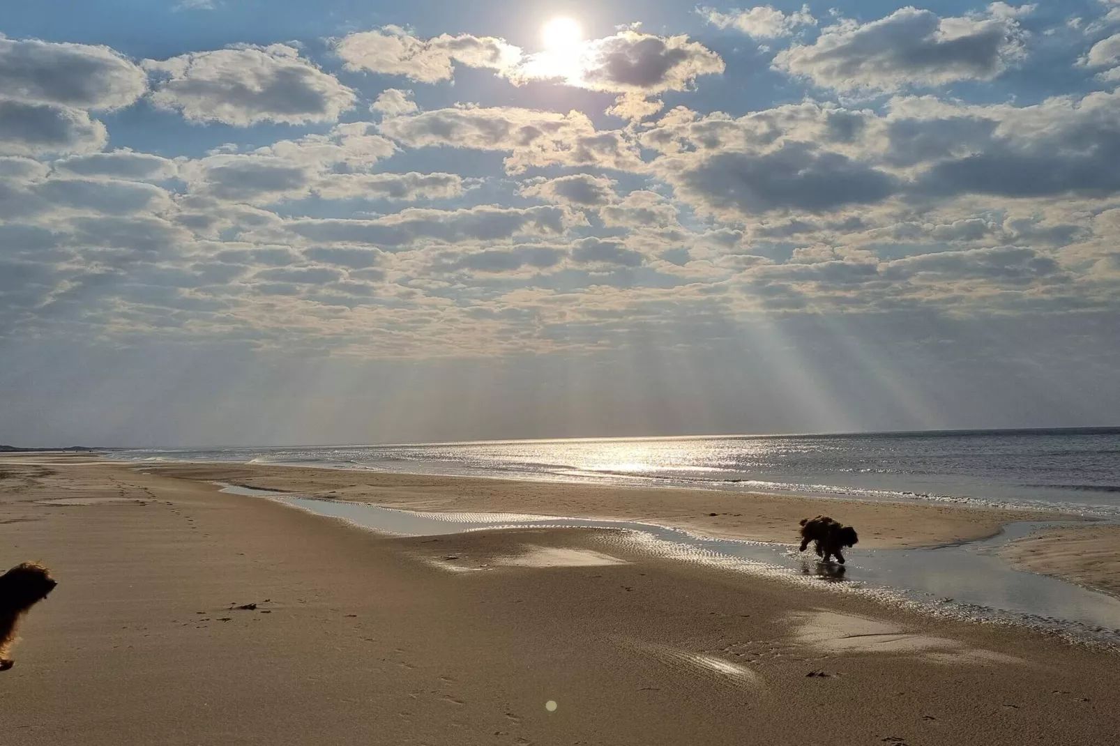 8 persoons vakantie huis in Saltum-By Traum