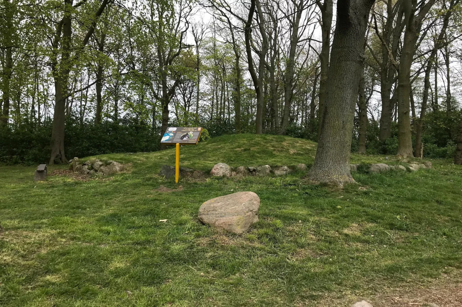 Schlagsdorf 40 OG Weitblick-Gebieden zomer 5km
