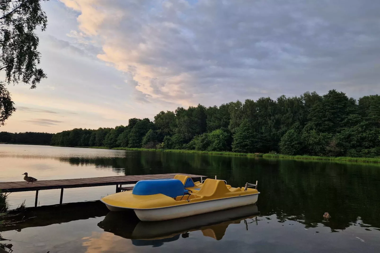 Dom wakacyjny w Oświnie-Gebieden zomer 1km