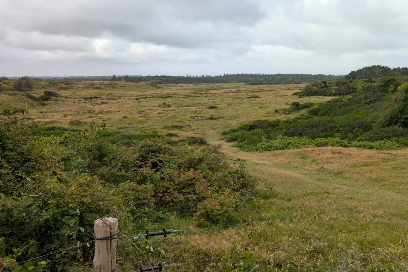 6 persoons vakantie huis in Saltum-By Traum-Niet-getagd