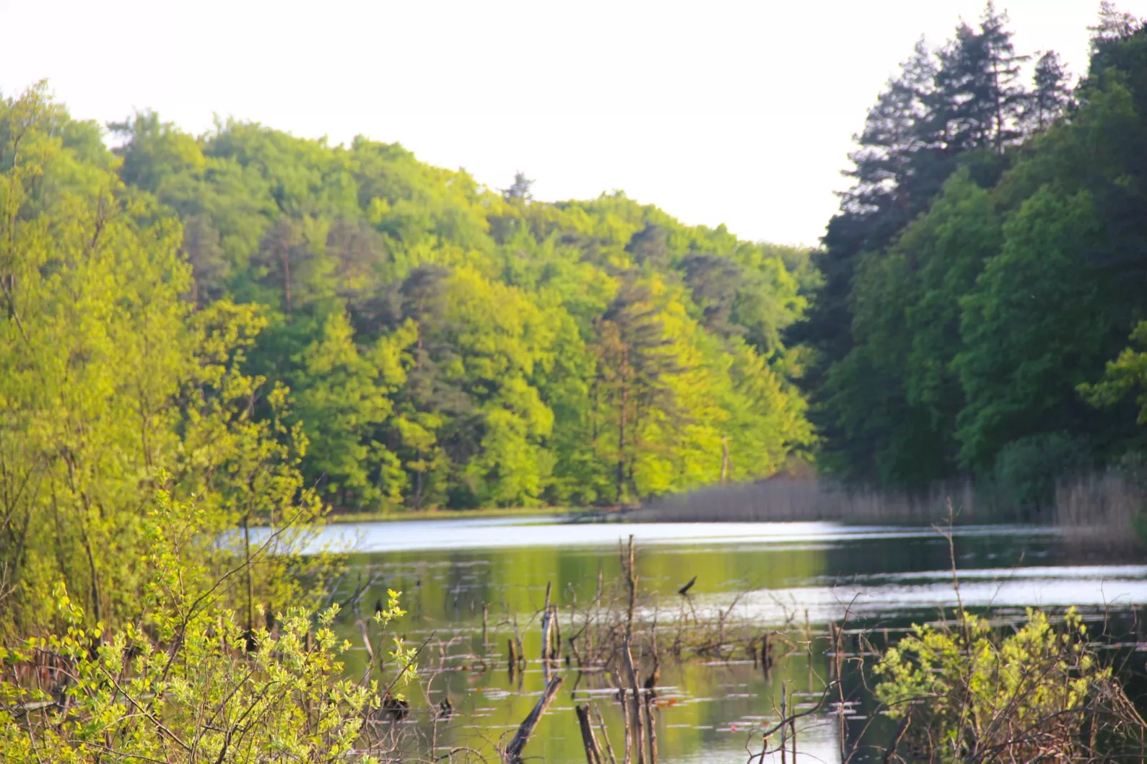 Holiday home Kolczewo 35 qm Nr 2-Gebieden zomer 1km