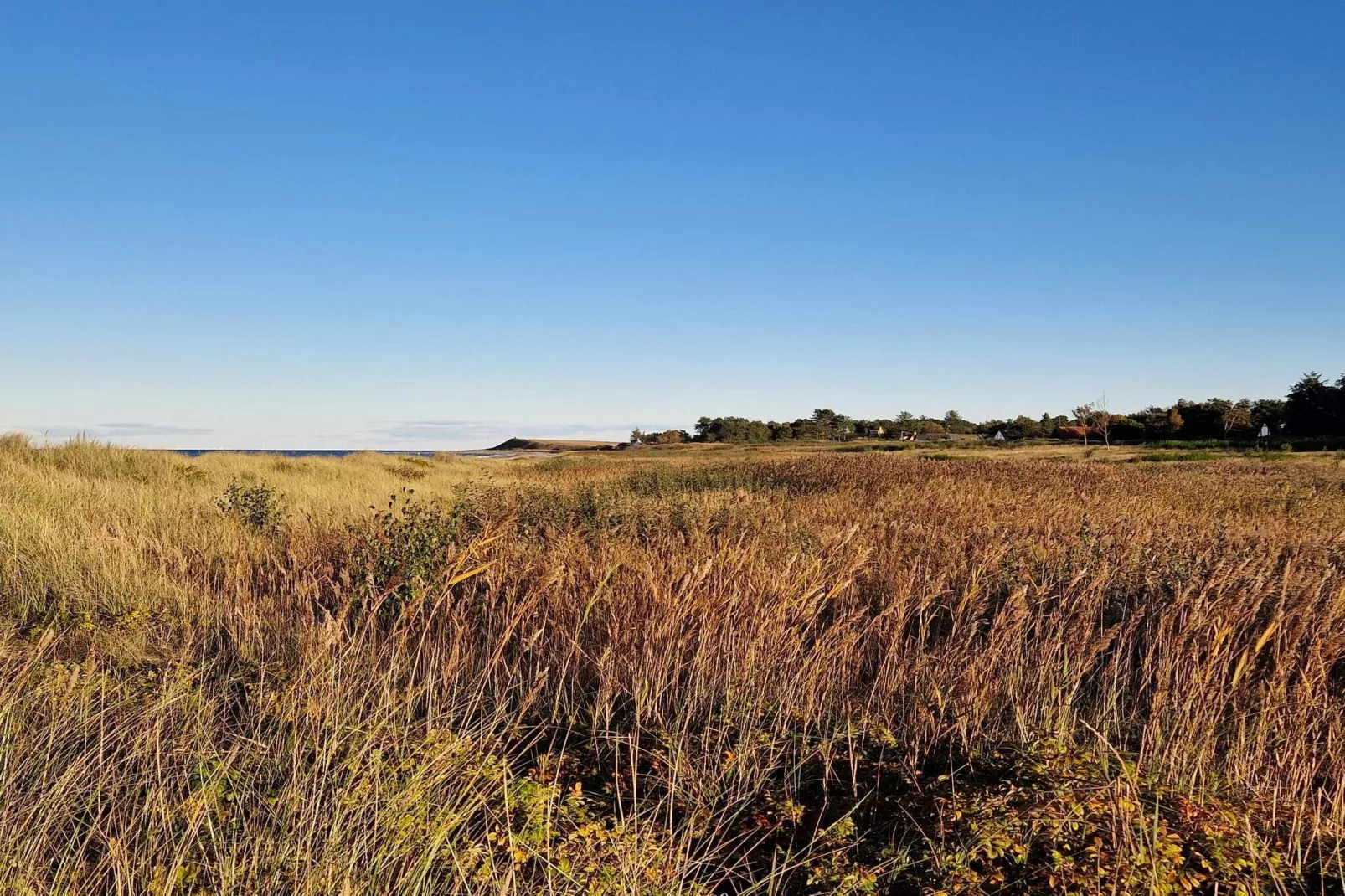 6 persoons vakantie huis in Grenaa-By Traum-Niet-getagd