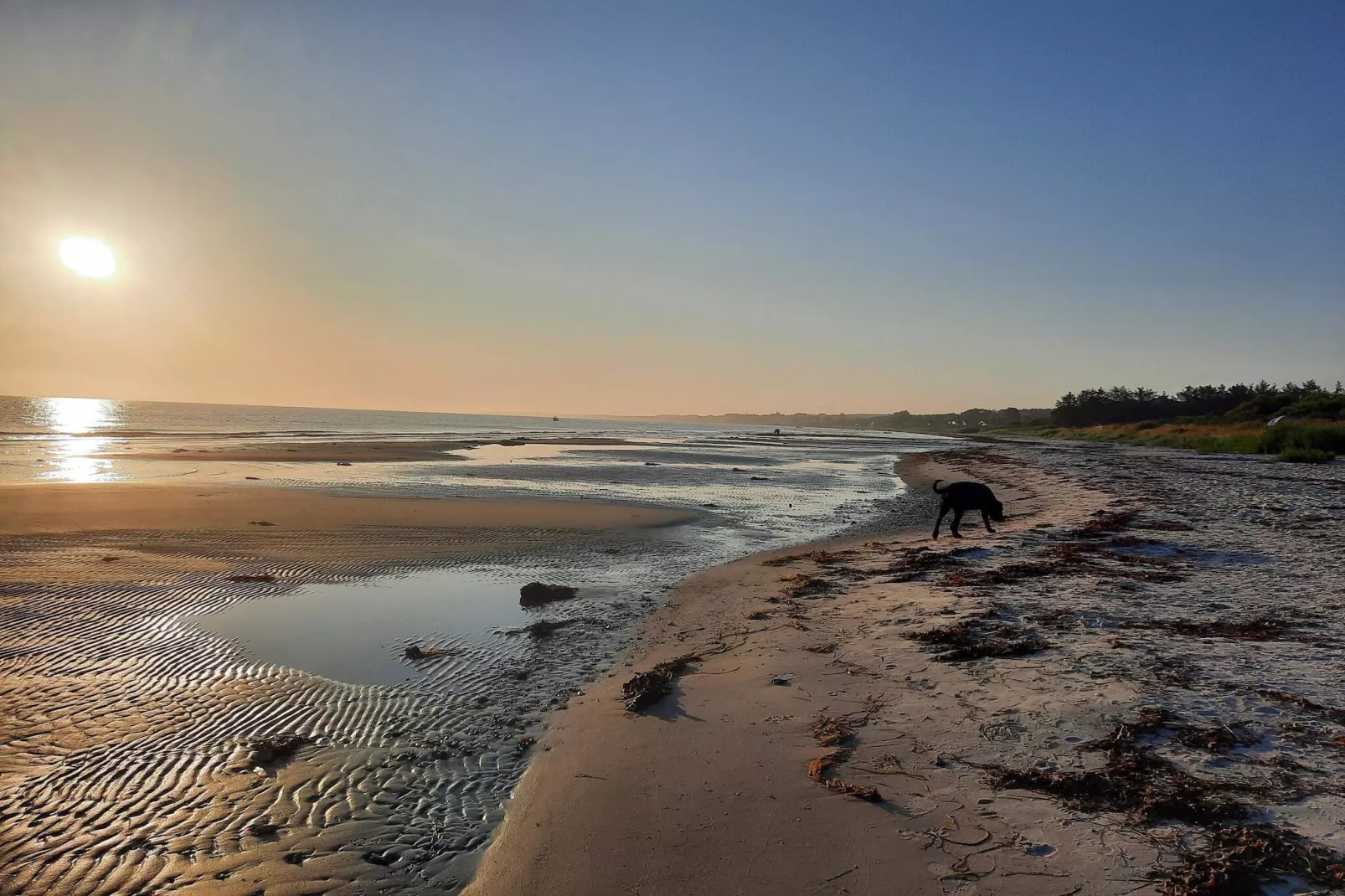 6 persoons vakantie huis in Allingåbro-By Traum