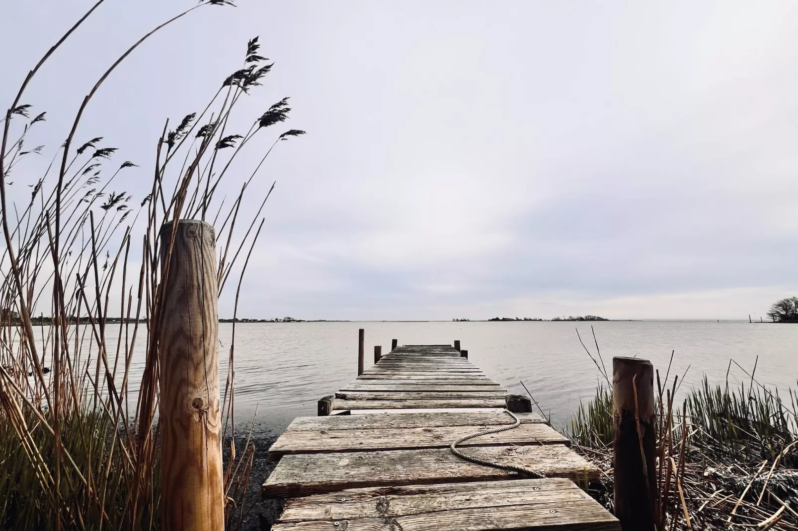 FeWo Lemk 16 1 OG-Gebieden zomer 1km
