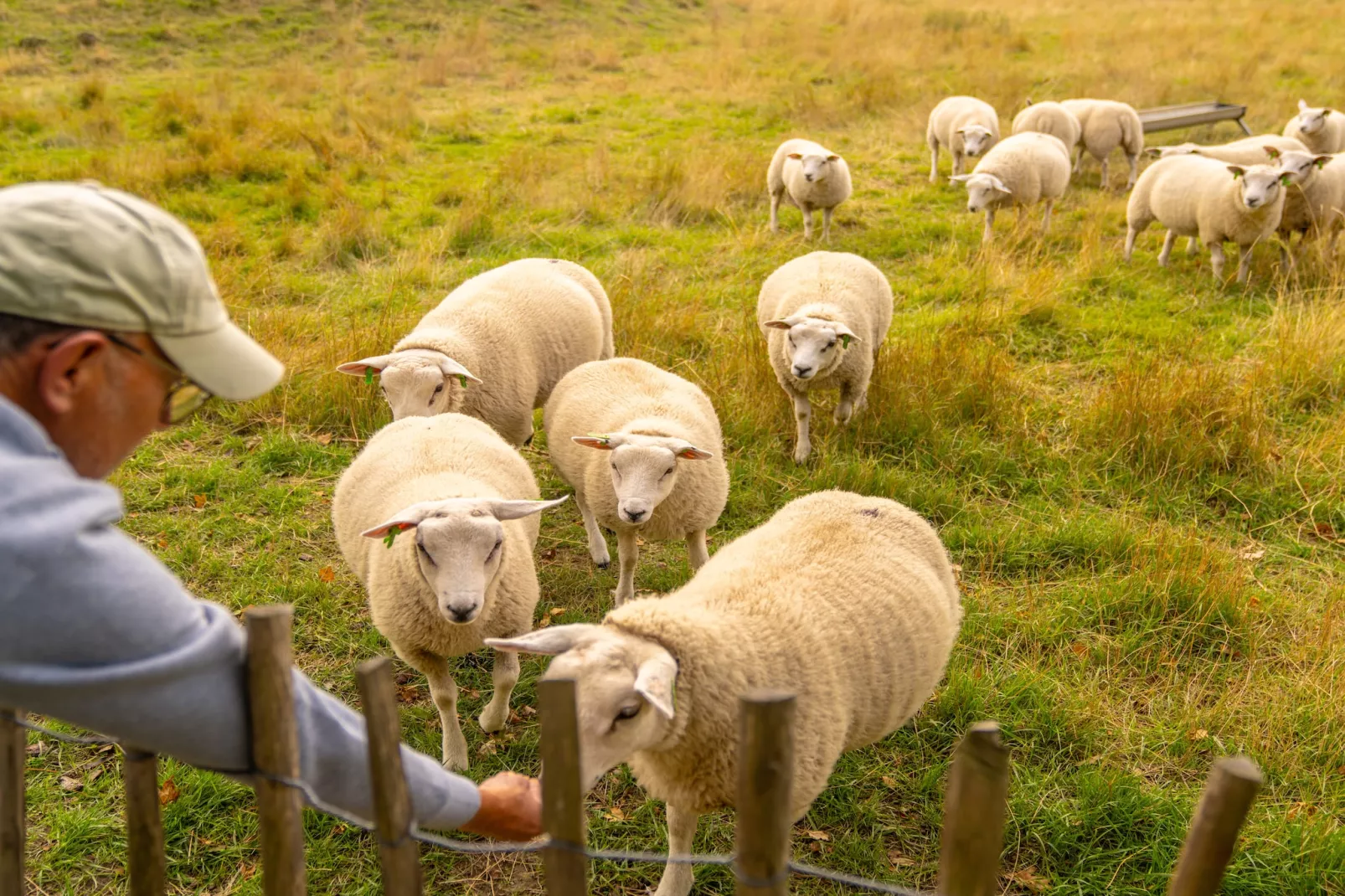 Beach Resort Brouwersdam 3-Parkfaciliteiten