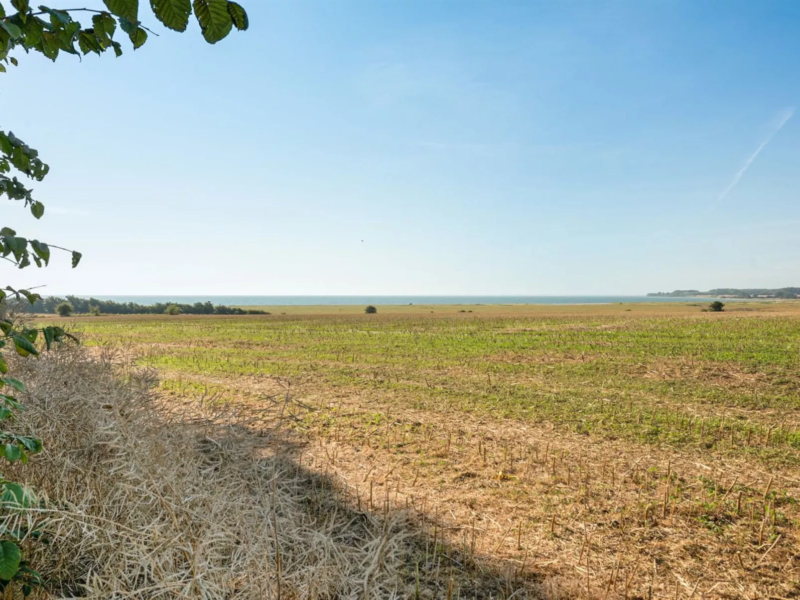 "Myrte" - 500m from the sea