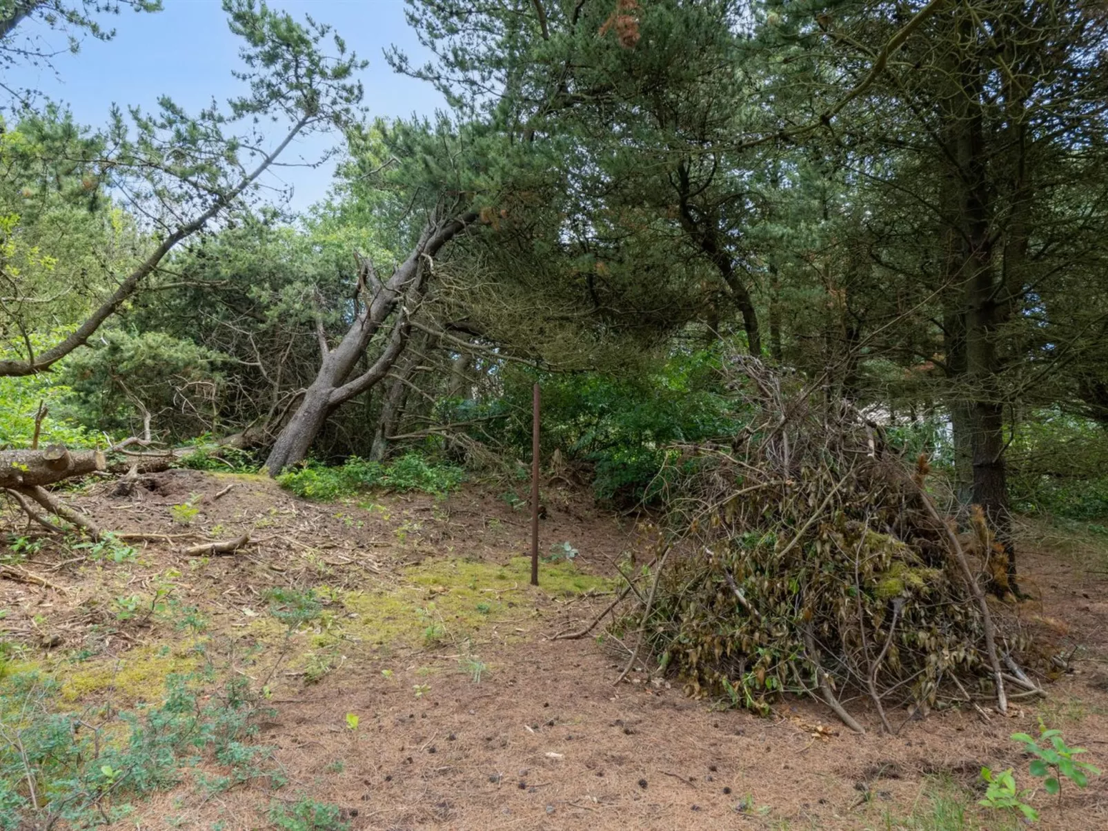 "Magga" - 3.2km from the sea