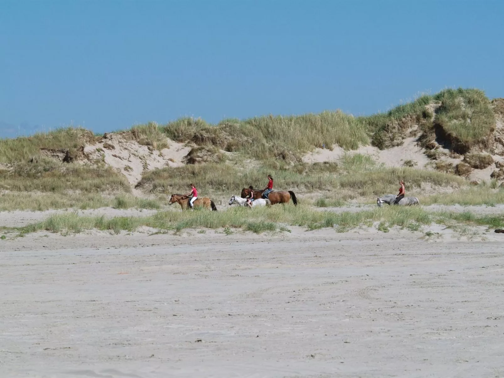 "Solina" - 500m from the sea