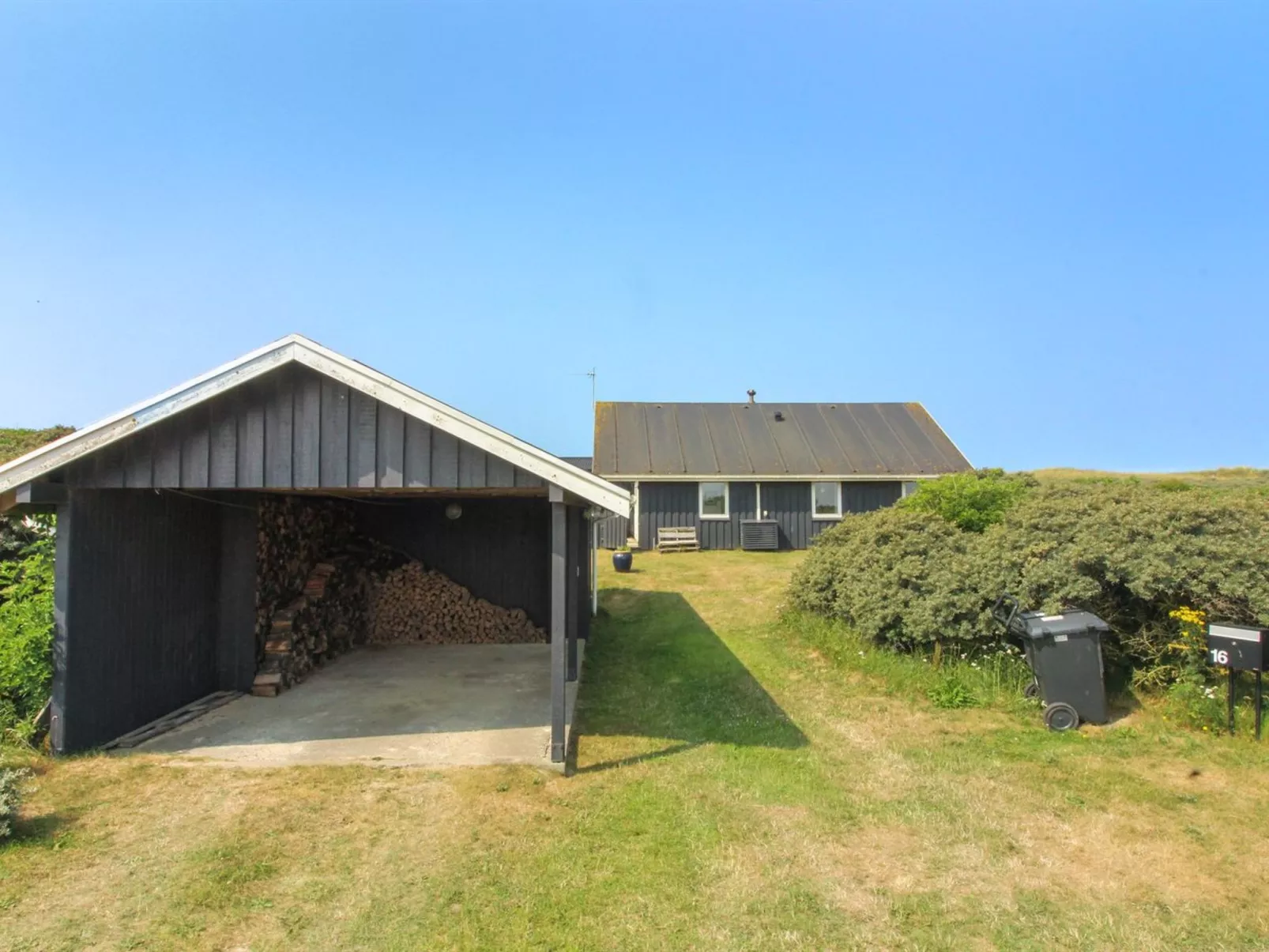 "Harry" - 100m from the sea