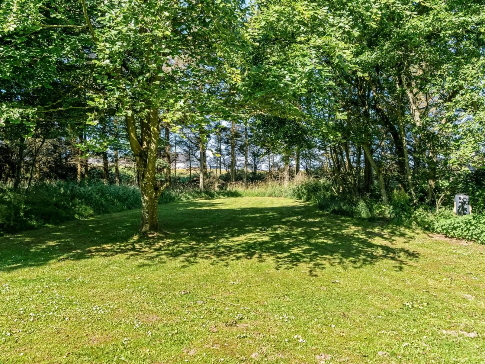 "Ninetta" - 650m from the sea