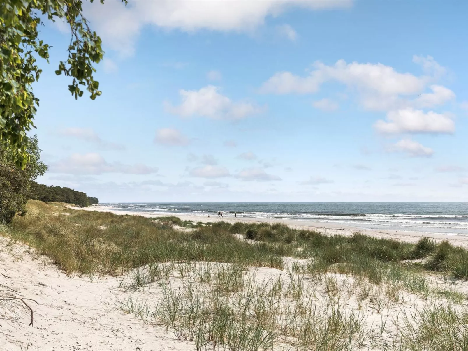 "Tume" - 200m from the sea