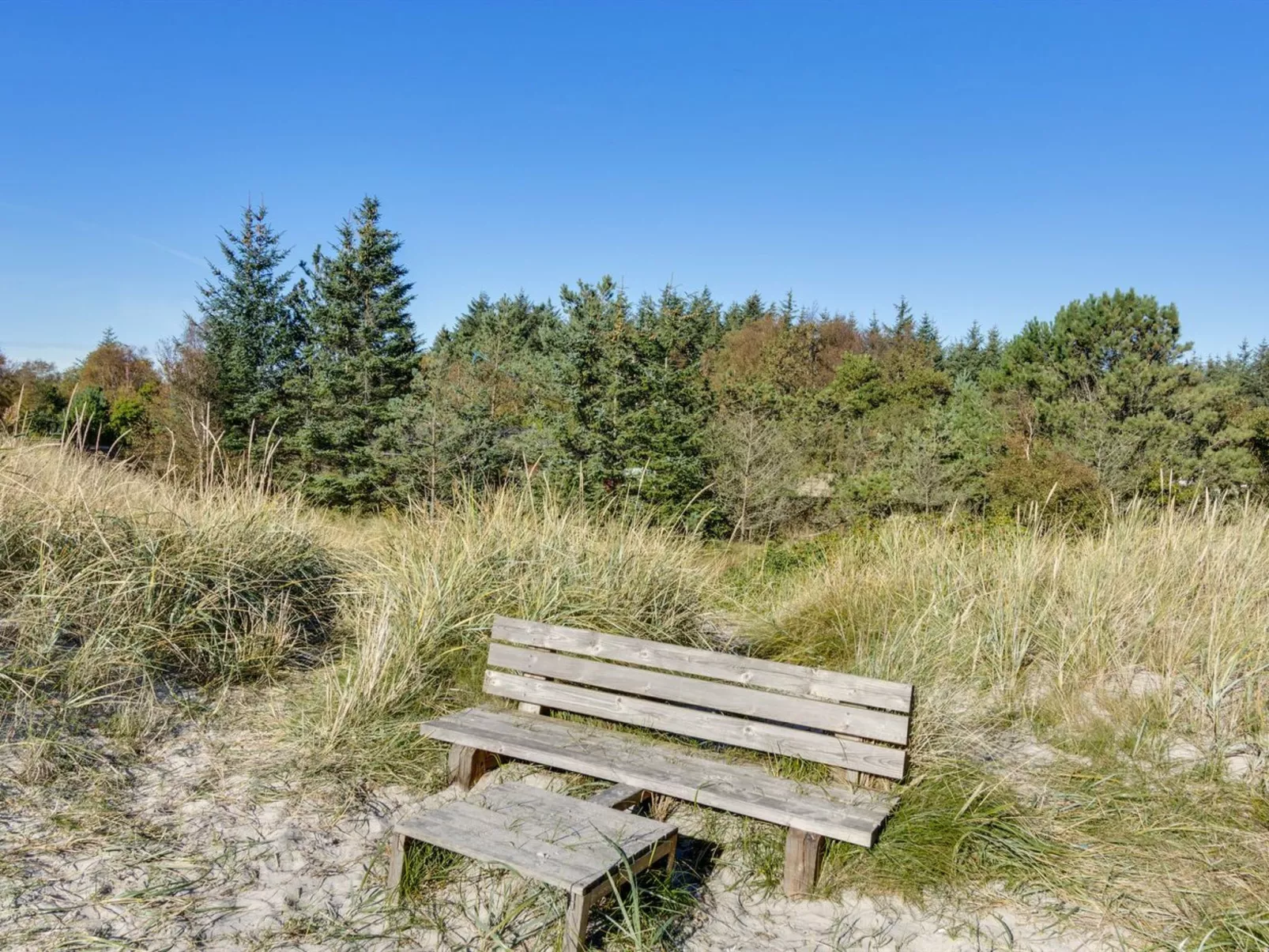 "Fay" - 25m from the sea