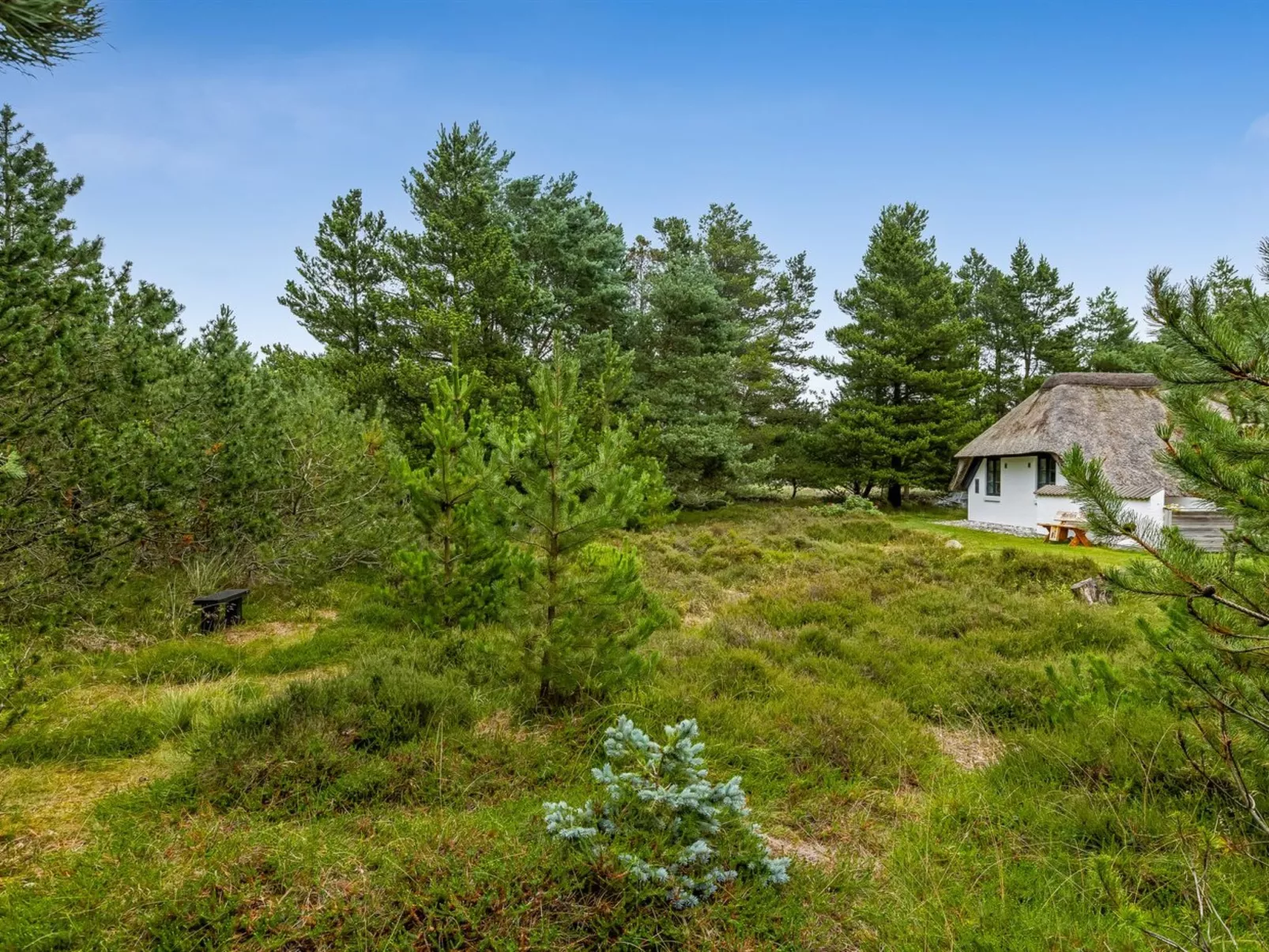 "Lilo" - 1km from the sea