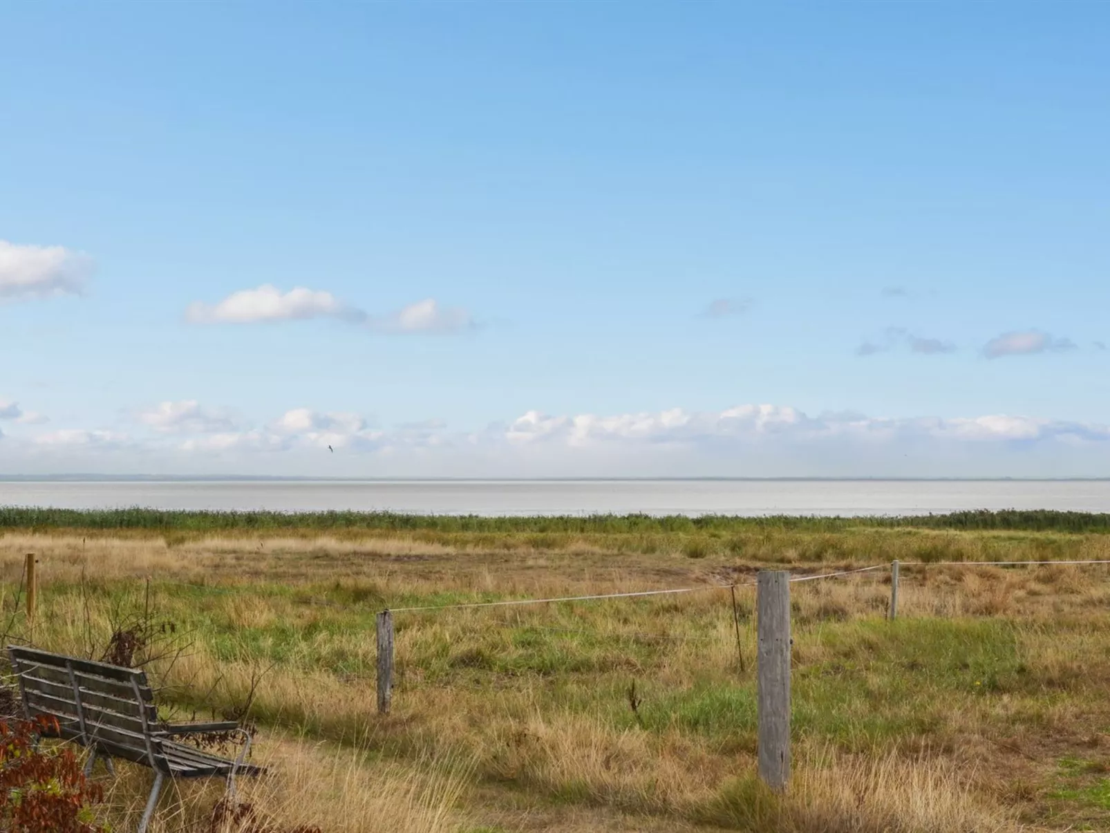 "Baltser" - 5km from the sea-Buiten