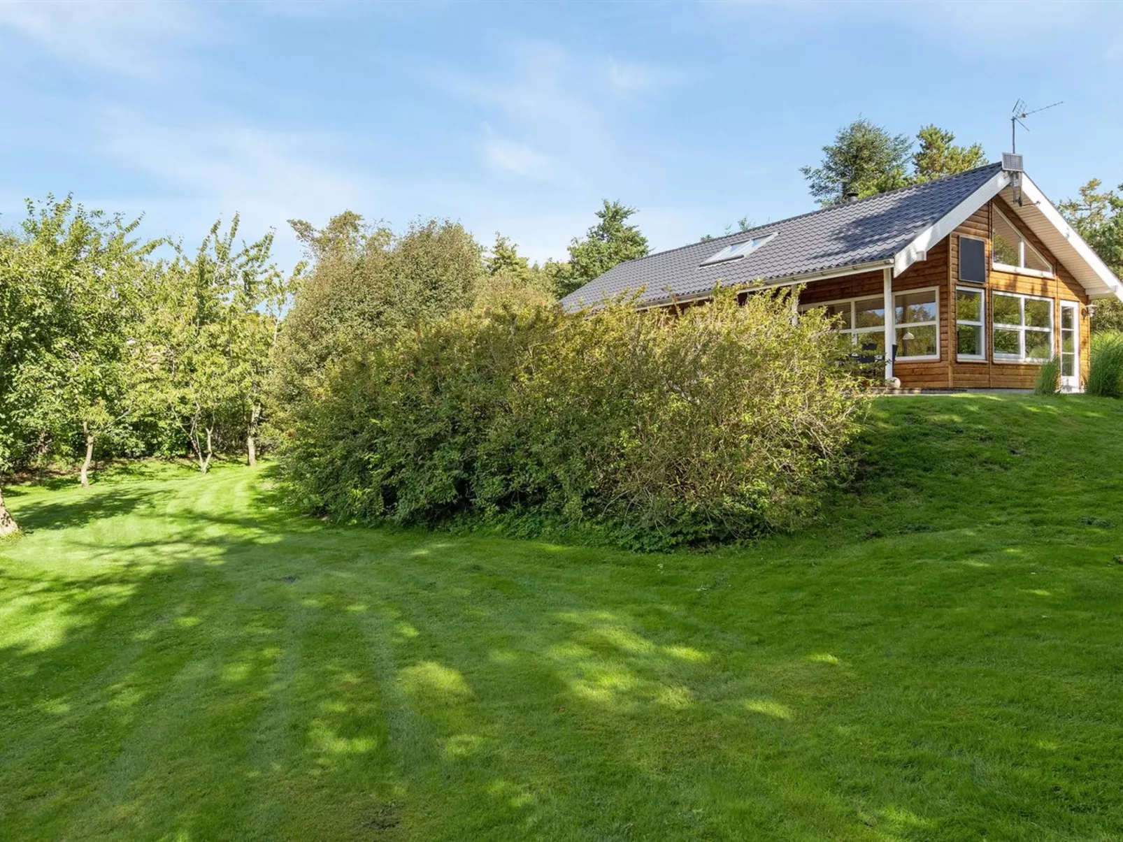 "Krister" - 250m to the fjord