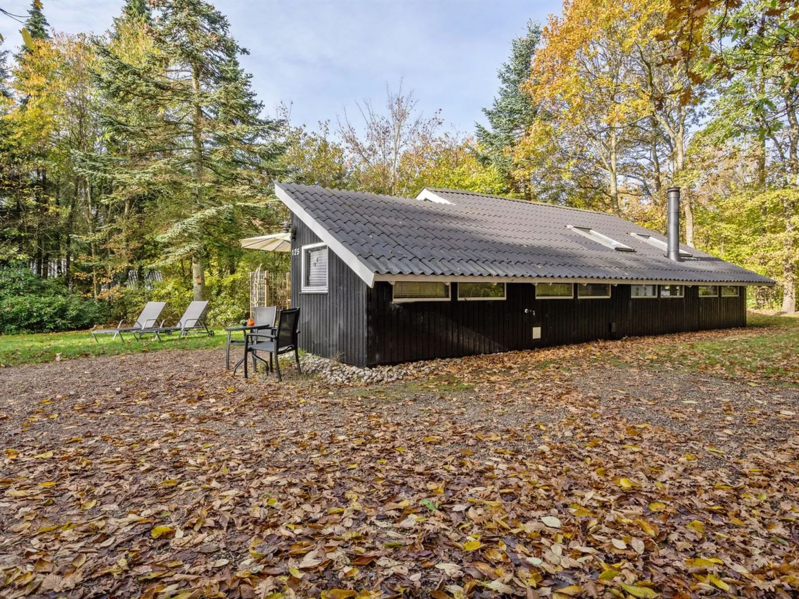 "Elisabeta" - 28km from the sea