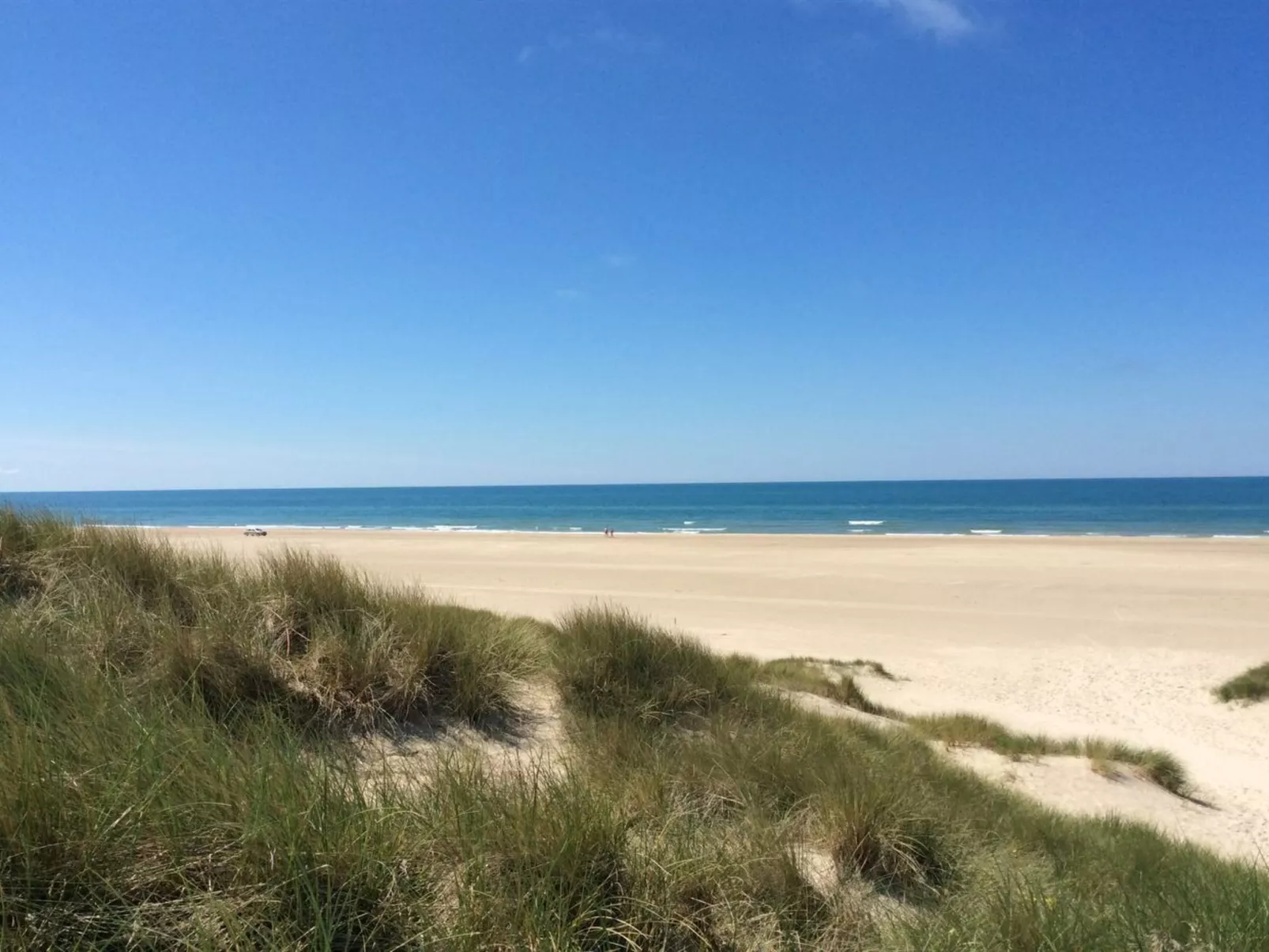 "Oskarvine" - 900m from the sea