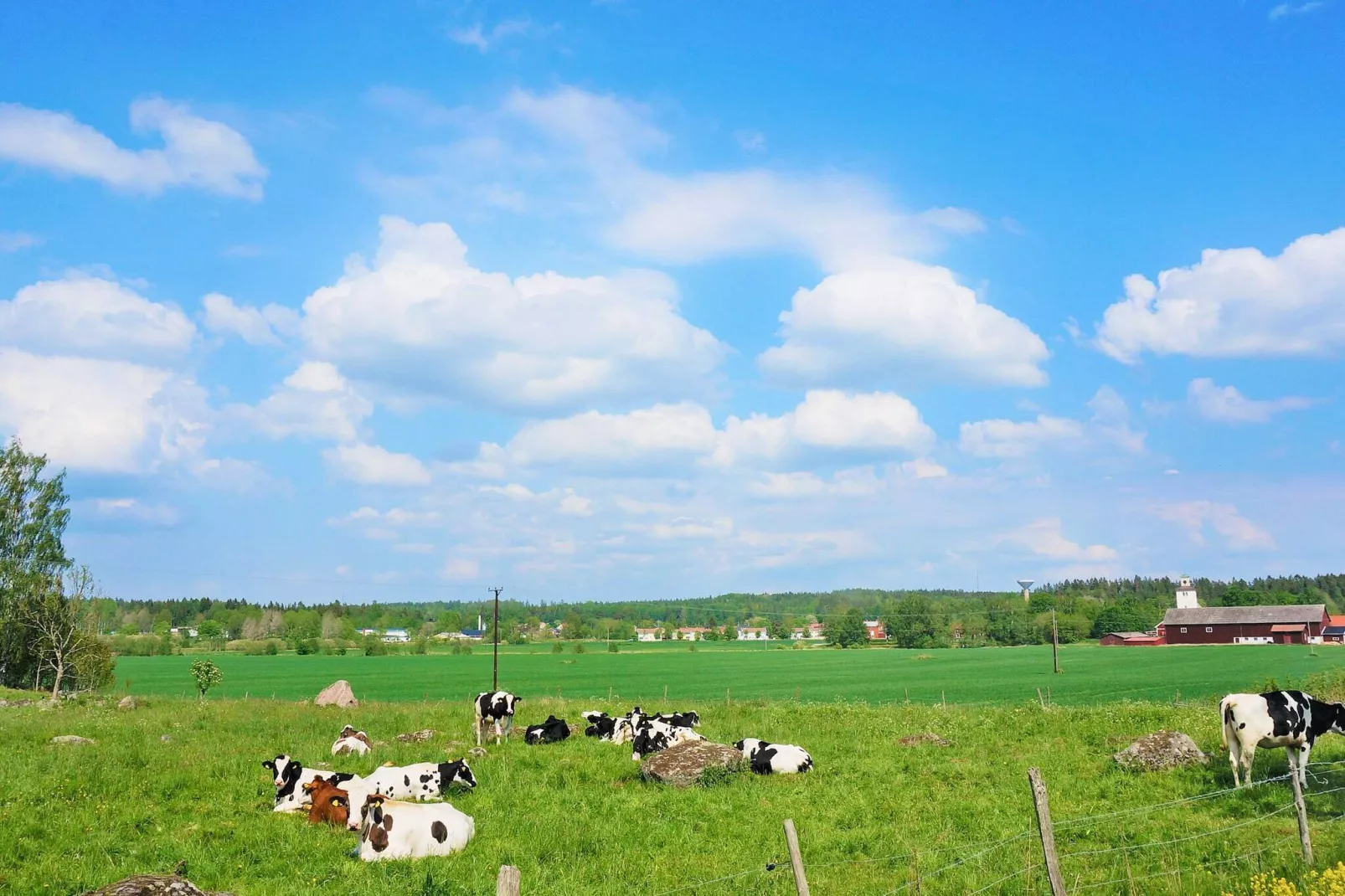 4 persoons vakantie huis in Lyrestad-By Traum-Niet-getagd