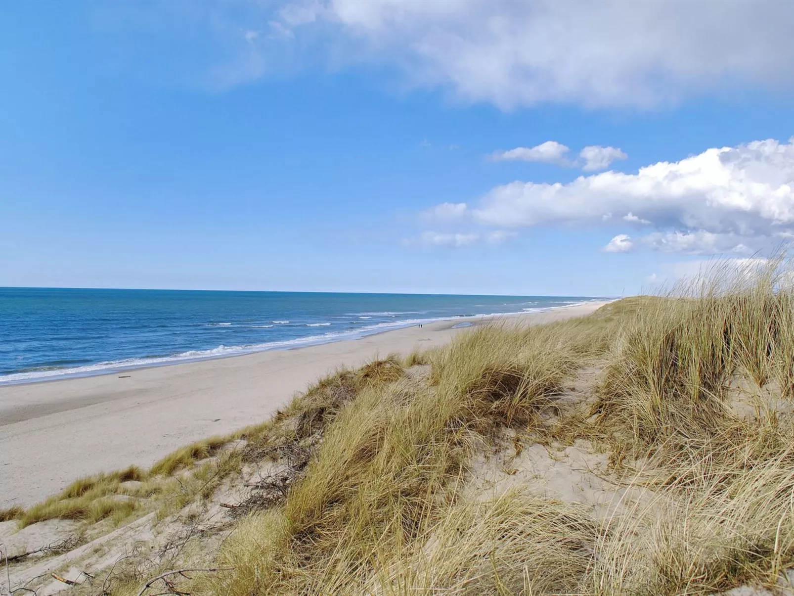 "Jannike" - 100m from the sea