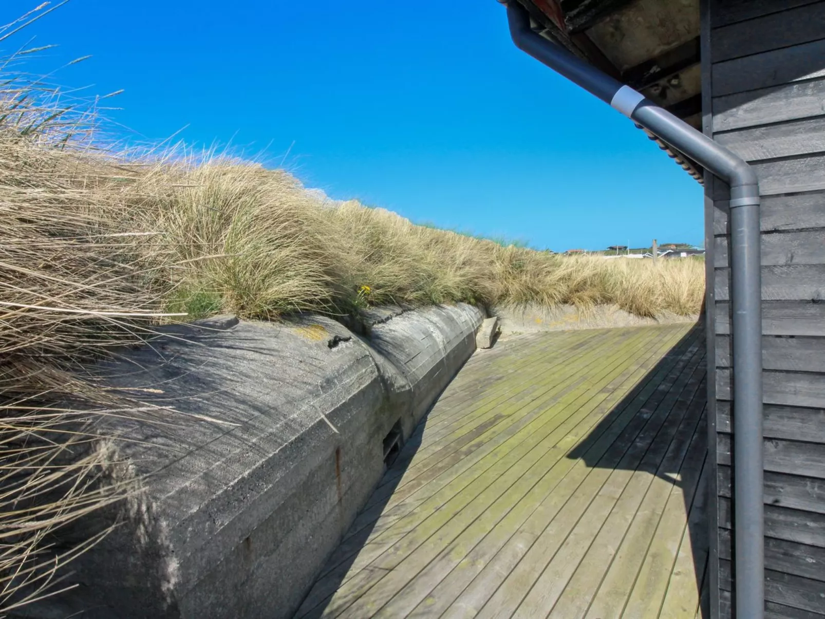 "Adelita" - 100m from the sea