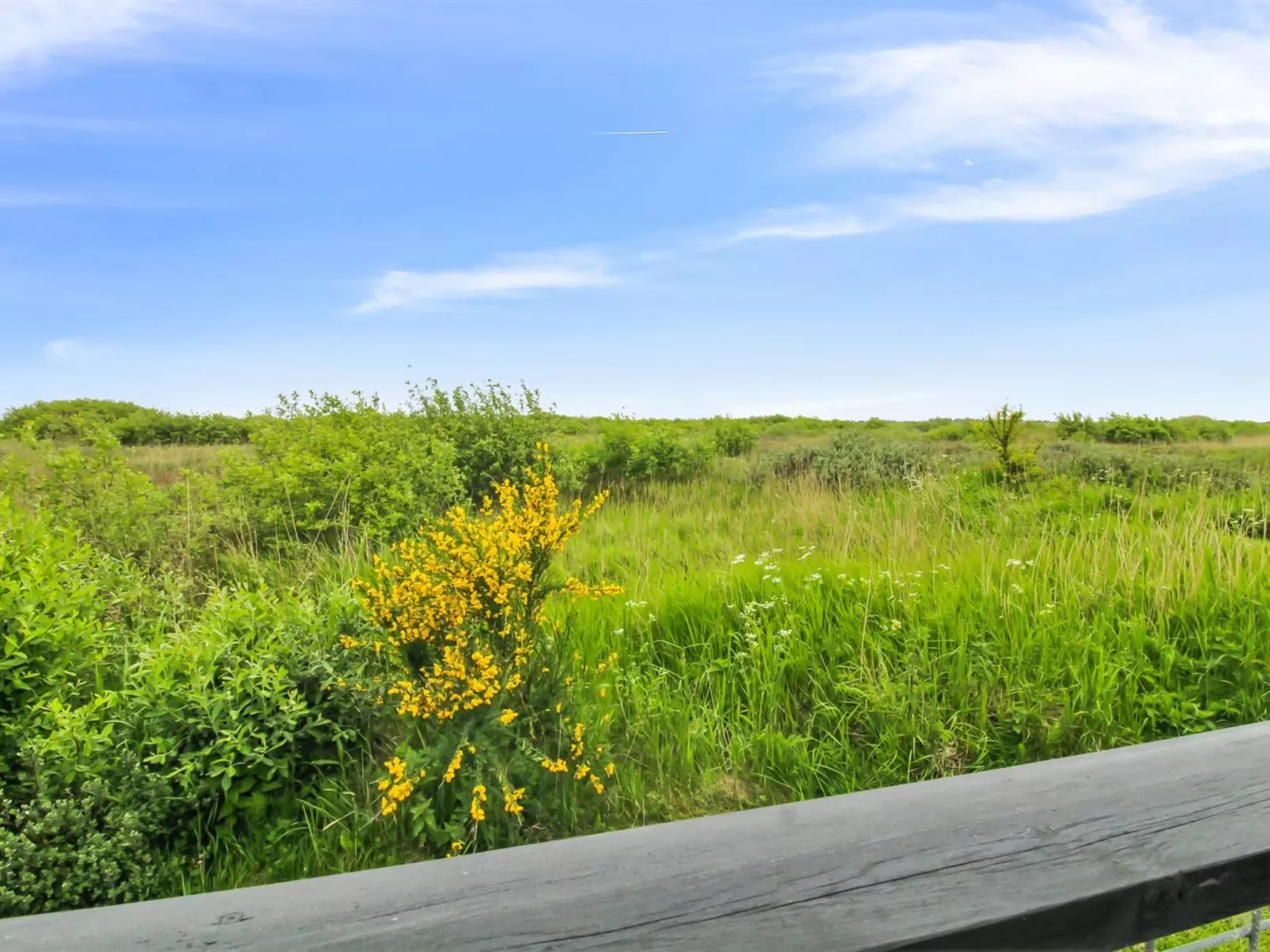 "Kylli" - 600m from the sea