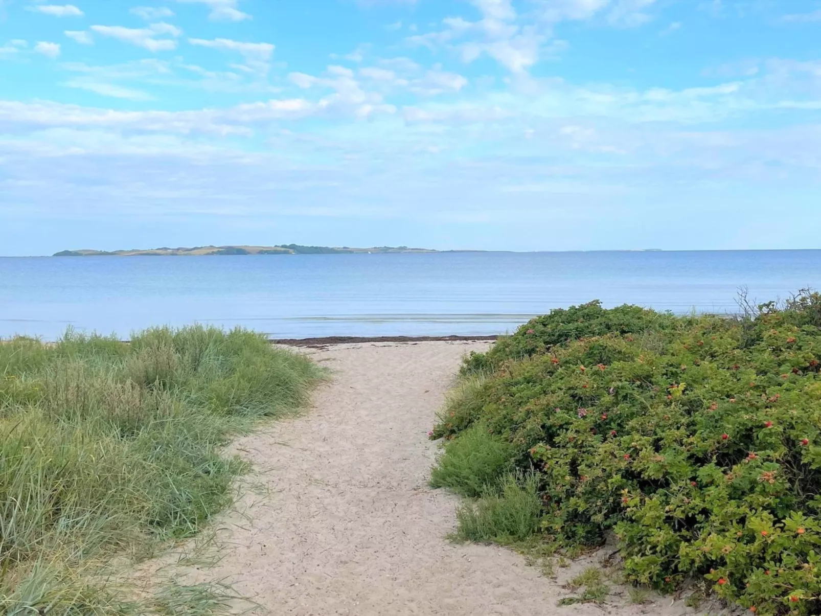 "Gregor" - 300m from the sea