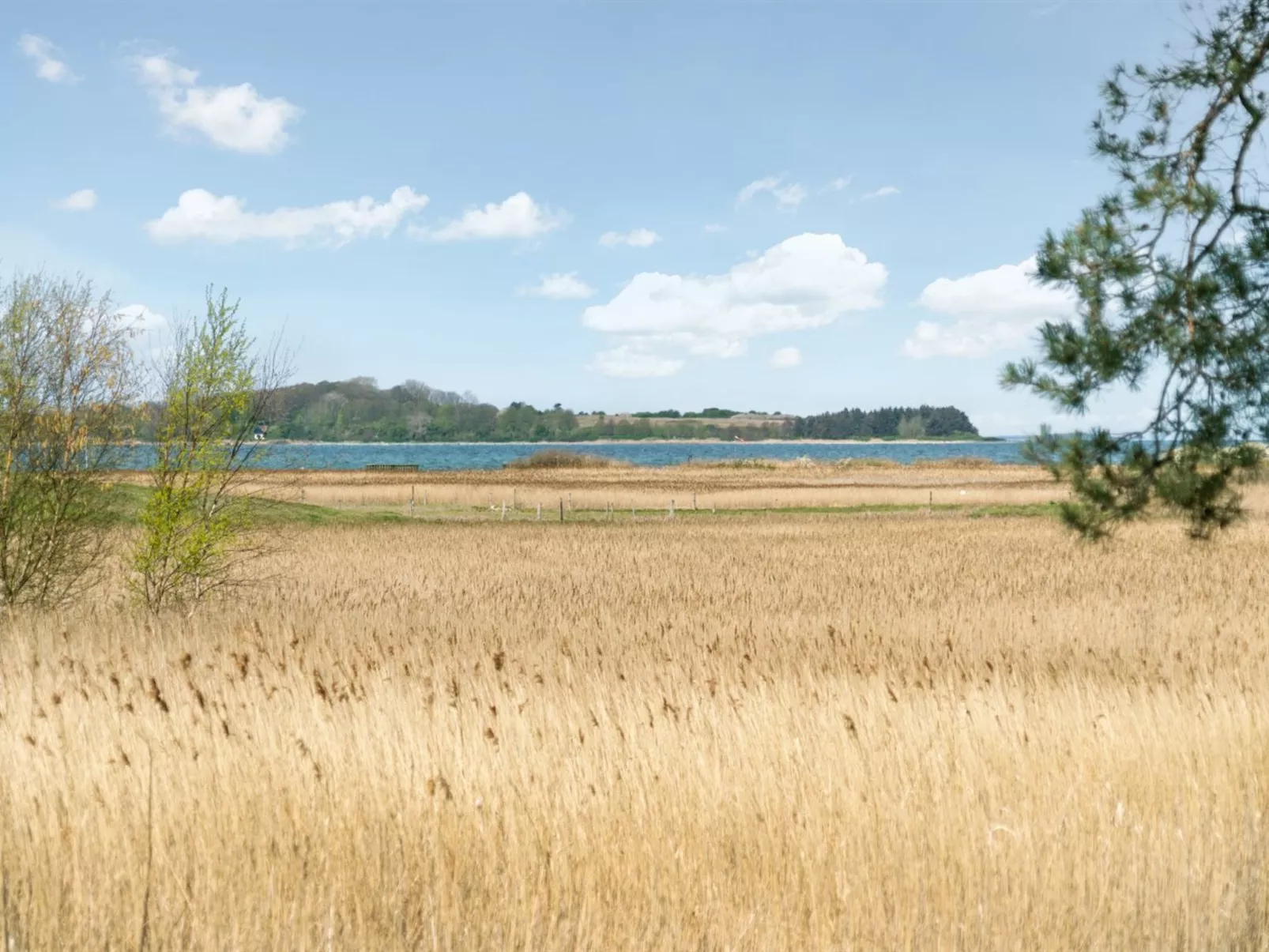 "Antti" - 350m from the sea