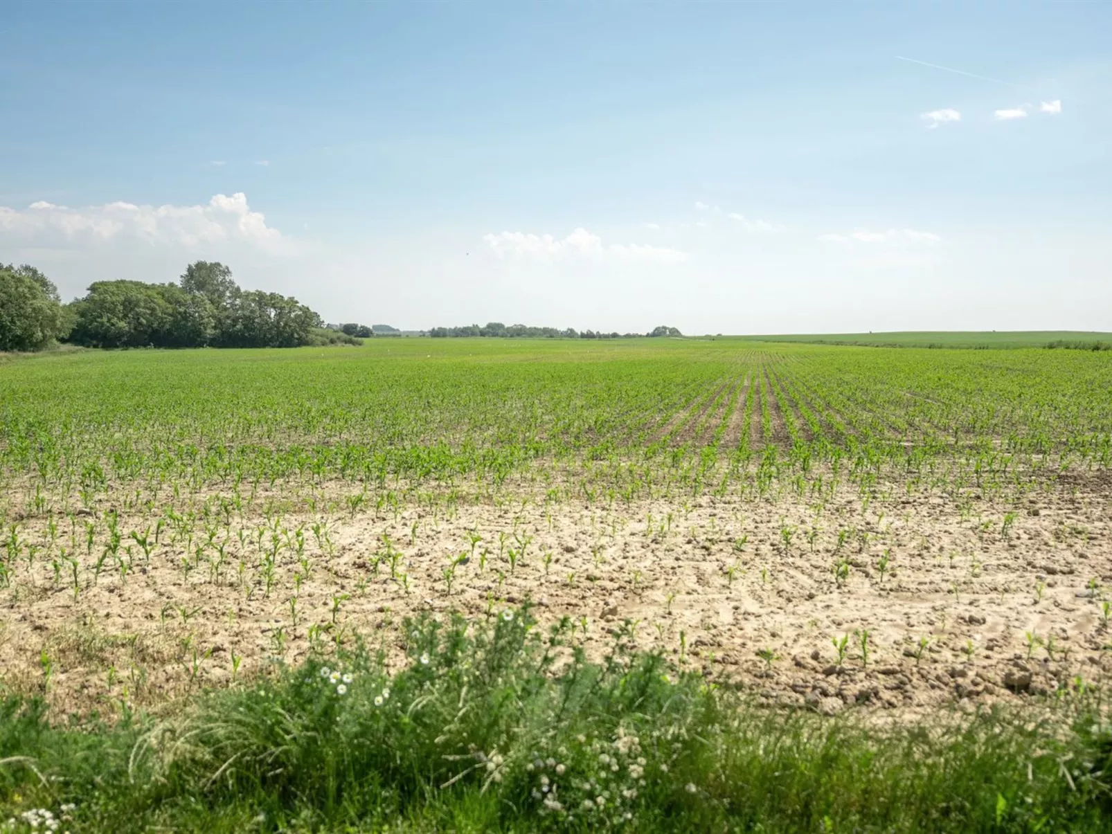 "Ilja" - 400m from the sea-Buiten