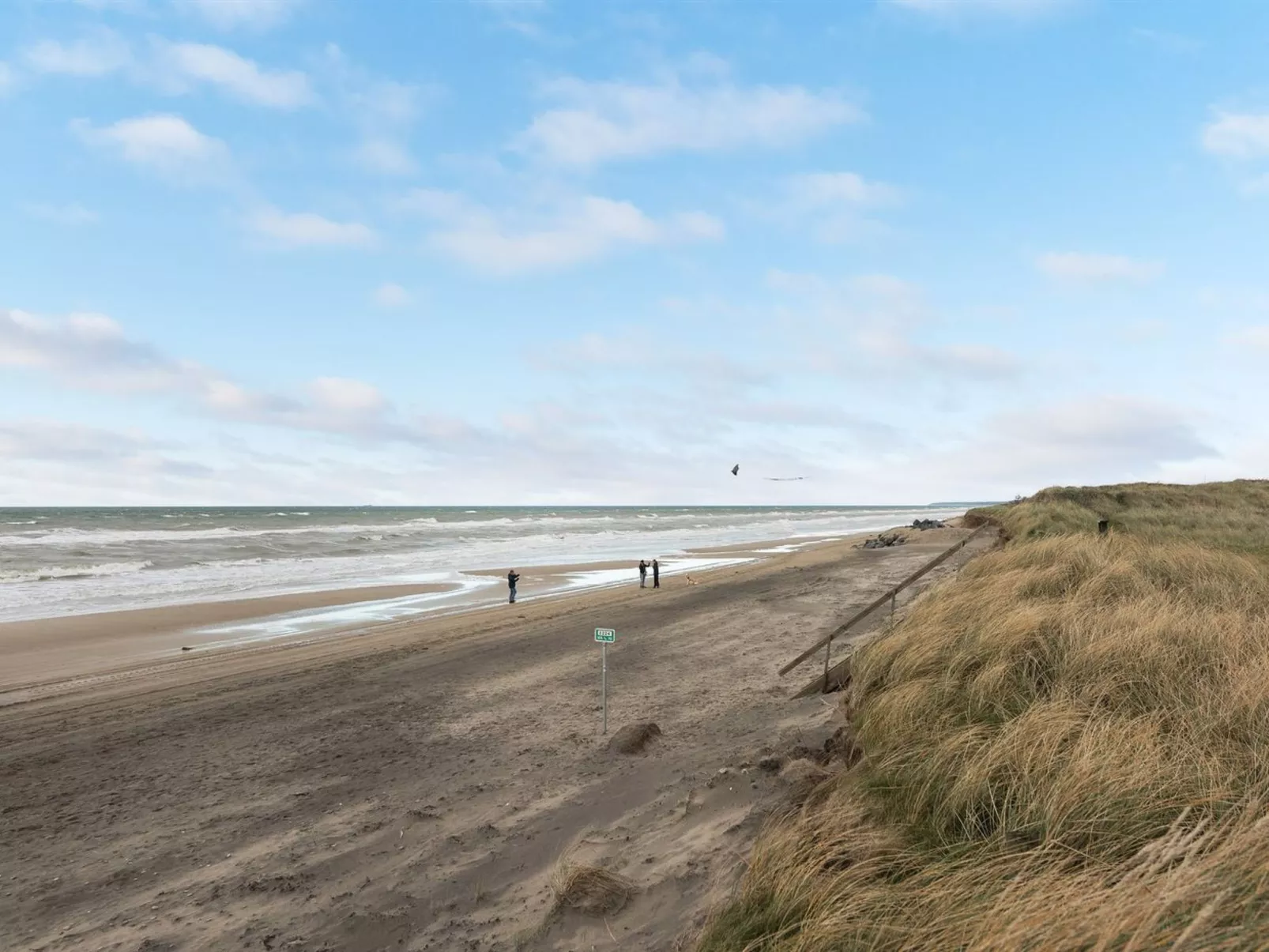 "Paul" - 100m from the sea