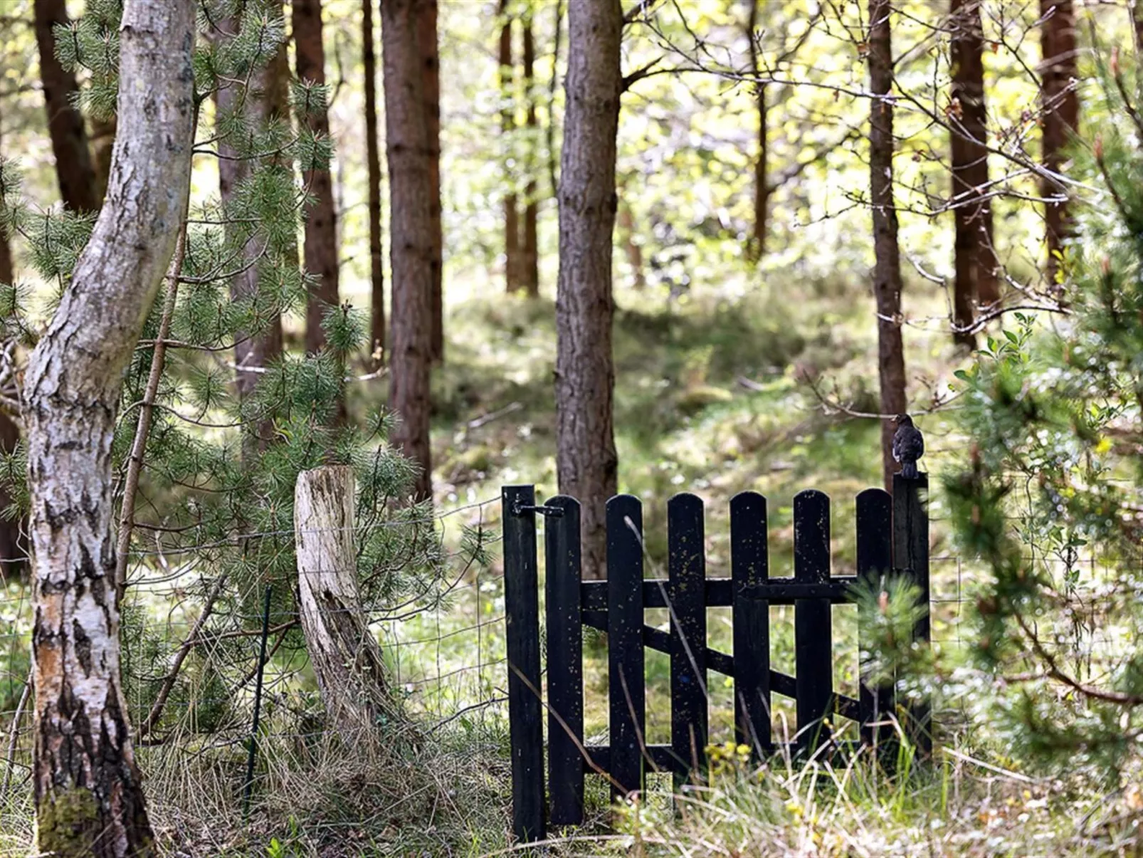 "Amabel" - 200m from the sea