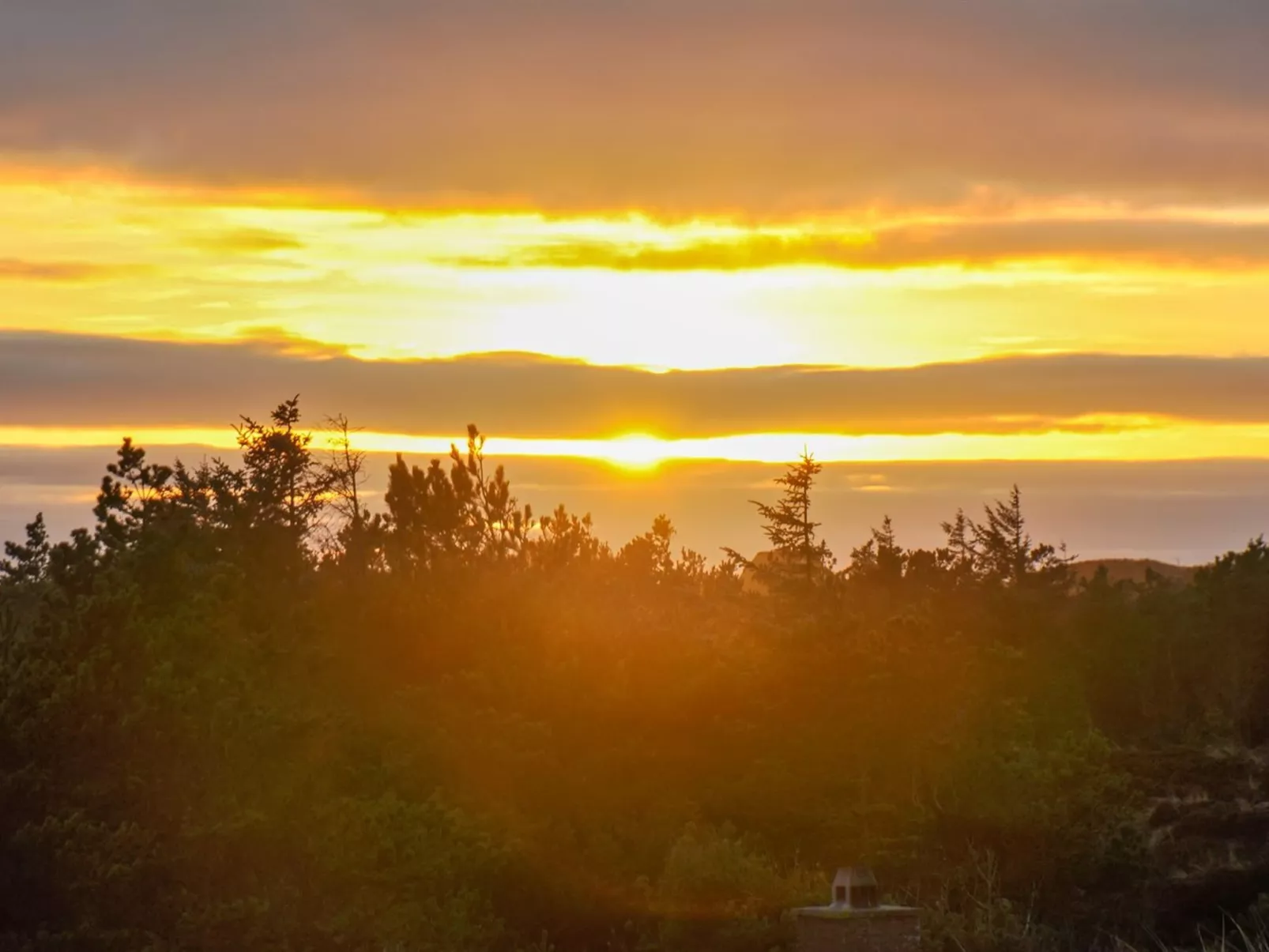 "Elsa" - 700m from the sea