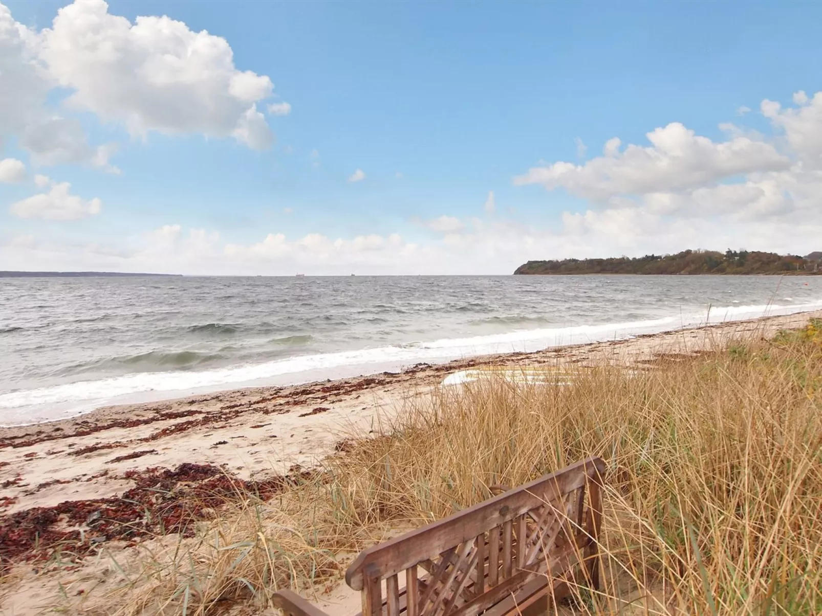 "Laila" - 50m from the sea