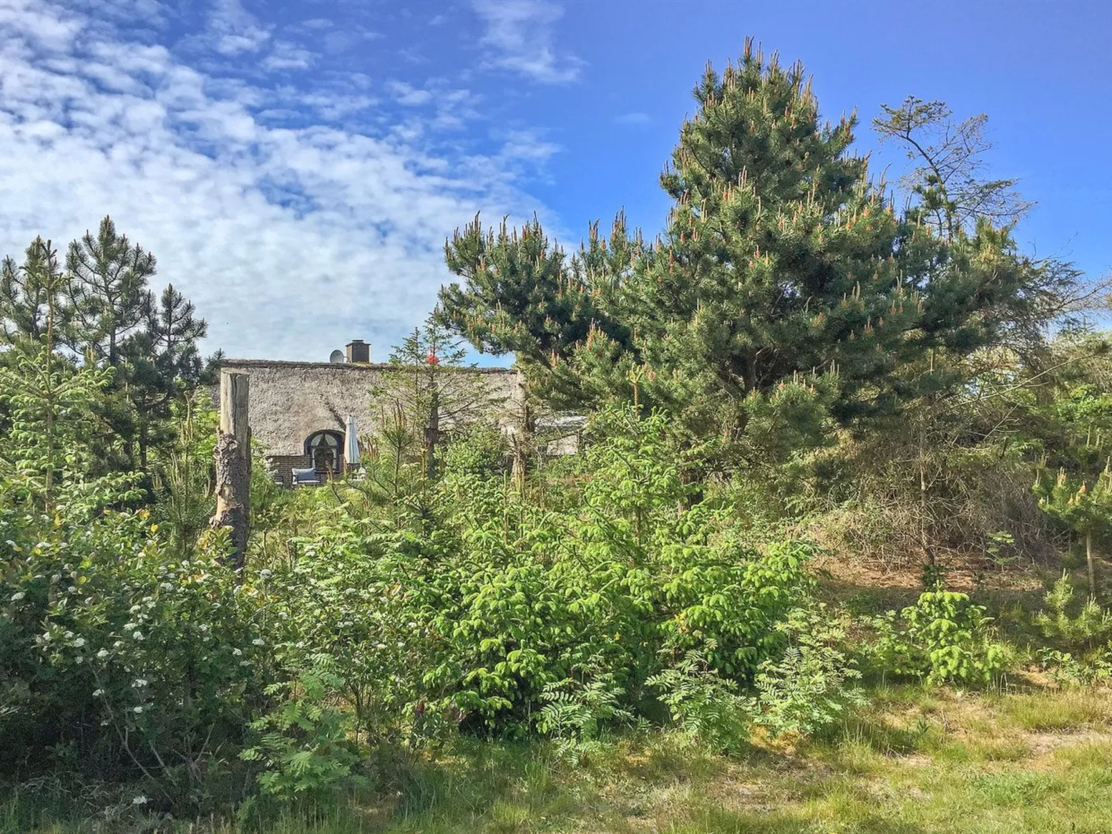 "Ilva" - 300m to the fjord