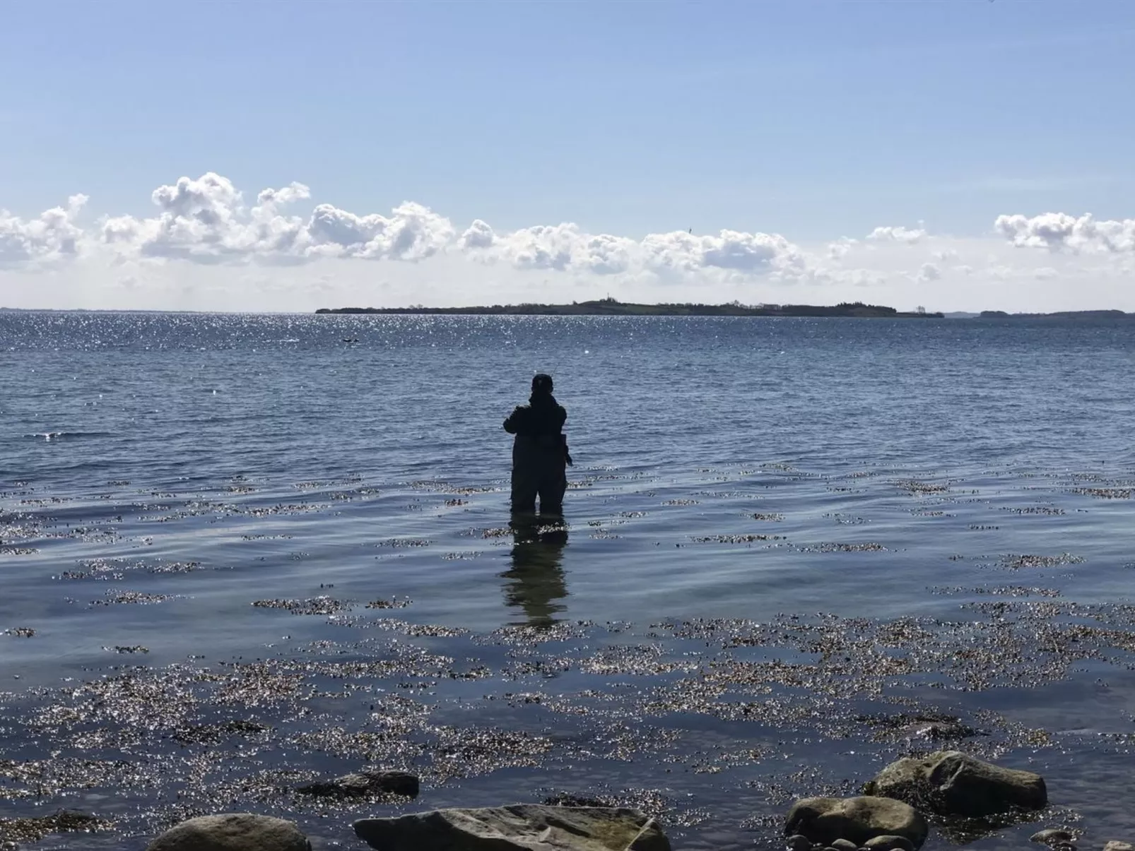 "Lander" - 20m from the sea